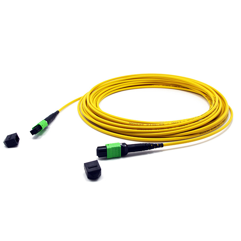 24 Fibers MPO Female To MPO Female Singlemode 3.0mm LSZH MPO Patch Cord Custom Meters
